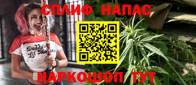 прущие грибы Пушкино