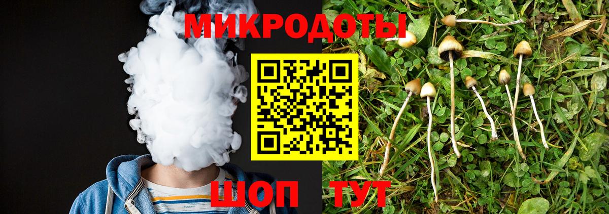 Светлоград  Галлюциногенные грибы Psilocybine cubensis  Вход с VPN 