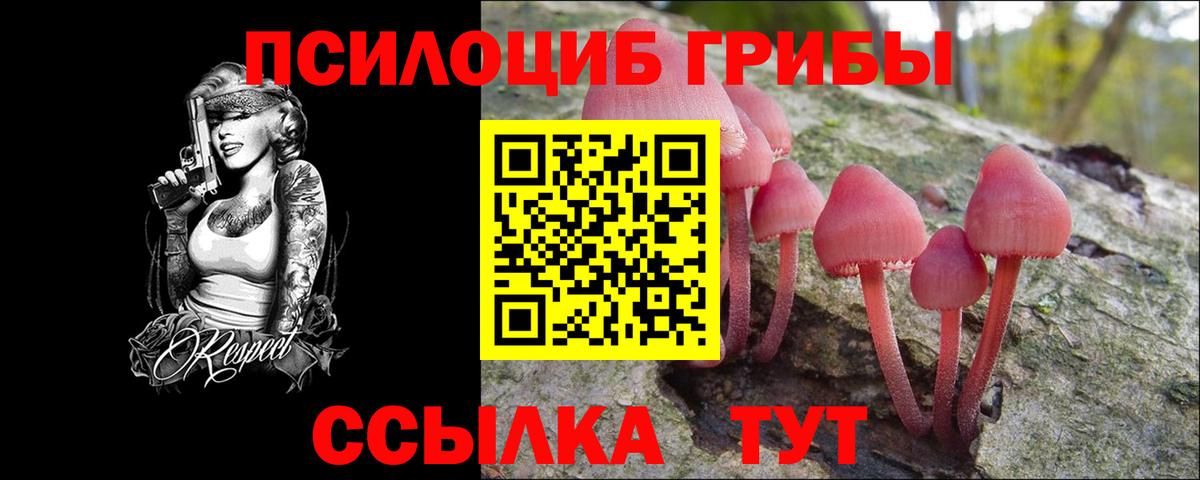 Галлюциногенные грибы Psilocybe Светлоград